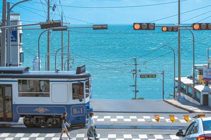 Busan Day Tour: Sky Capsule & Blueline Park