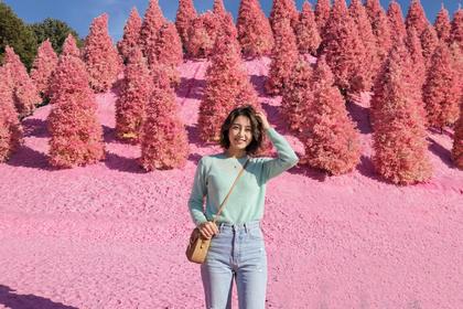 Pocheon: Pink Sand, Y-Bridge & Art Valley