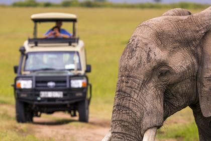 Safari Sehari Aquila Game Reserve (Big Five)