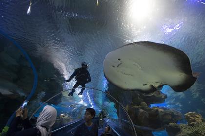 Tiket Aquaria KLCC