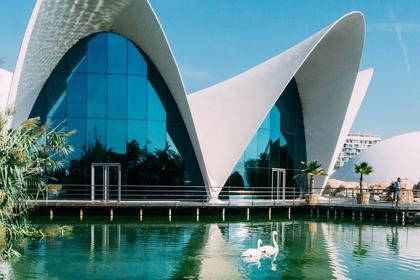 Oceanografic Aquarium Valencia