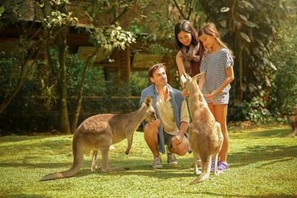 Taman Safari Indonesia Bogor