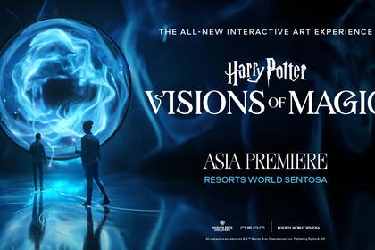 Harry Potter: Visions of Magic