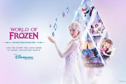 Tiket Disneyland Paris