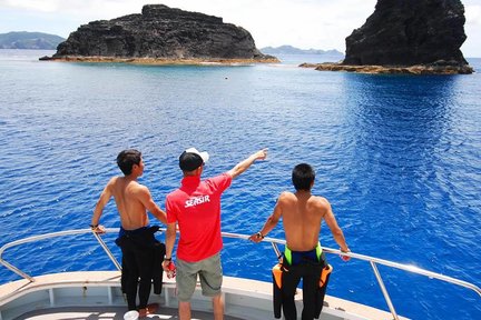 Experiencia de buceo en la isla de Kerama