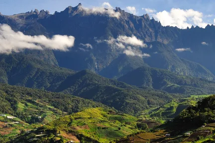 Kinabalu Park & Poring Hot Spring Tour