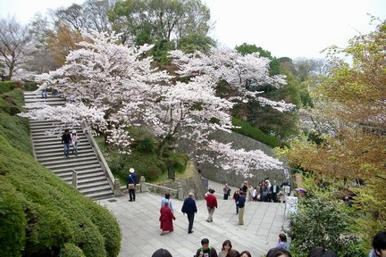 京都寺庙神社探索之旅：清水寺、八坂神社等