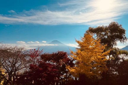 富士山河口湖＆新仓山公园＆御殿场Premium Outlets一日游丨东京出发