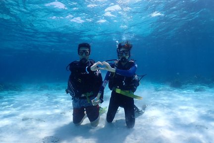 Une journée d'apprentissage de la plongée sous-marine sur l'île de Racha - Aucune licence requise