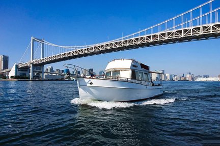 Tokyo City, Tokyo Bay & River 2 Hours Cruising Boat Private Tour