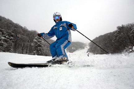 ทัวร์เล่นสกีที่รีสอร์ต Jisan Forest (พร้อมอาหารเช้าและถุงมือฟรี)