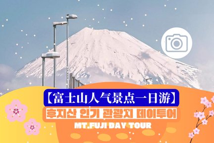 【富士山必游+人气打卡景点】赏花购物网红景点一日游（韩文&中文导游  东京站或新宿站出发）