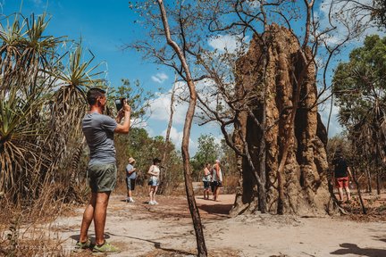 Tour di un giorno al Parco Nazionale di Litchfield