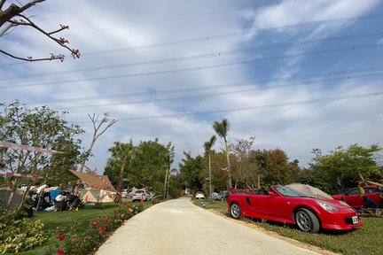 Expérience de camping sur le chemin forestier