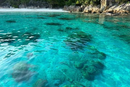 Pakej Menyelam Dua Kali di Pulau Perhentian dengan PADI Dive Center