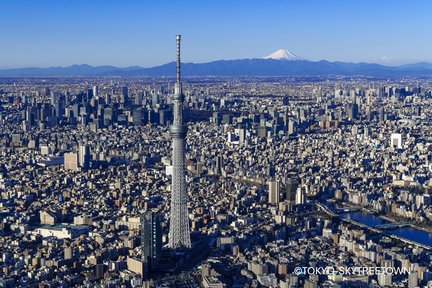 Tokyo Panoramic 1 Day: Meiji Shrine, Asakusa, Odaiba and SKYTREE® 