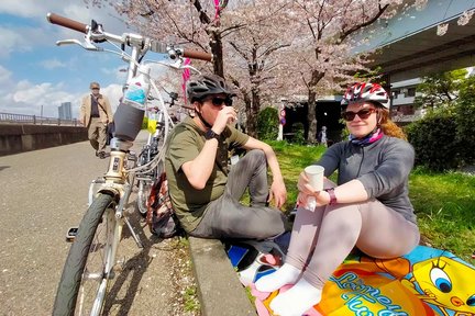 Asakusa Backstreet Bike Tour