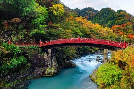 Nikko Sightseeing 10 Hours Private Chartered Car Tour from Tokyo