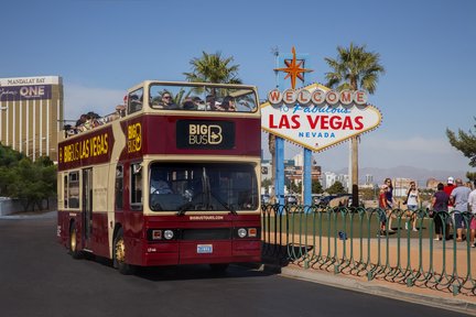 Las Vegas Big Bus Hop-On Hop-Off Tours (Open-Top)