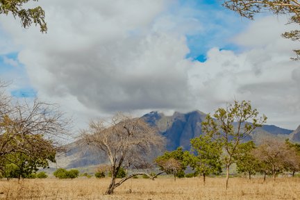 Safari at Baluran National Park in Banyuwangi by Dialoog Banyuwangi