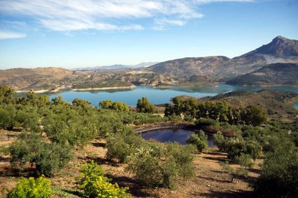 Excursión de un día a Ronda y los Pueblos Blancos desde Sevilla