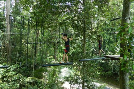 蘭卡威 SKYTREX 天空步道探險