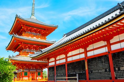 京都｜古城打卡＆兔子神社＆抹茶体验一日游 (可加購清水寺和服體驗）｜大阪/京都出发