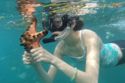 Experiencia de snorkel en Nusa Dua Bali