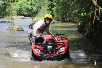 Expérience de balade en VTT à Ubud Bali