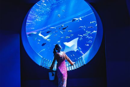 沖繩豐見城市 DMM Kariyushi 水族館門票 