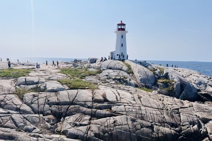 Lunenburg + Peggy's Cove Day Tour