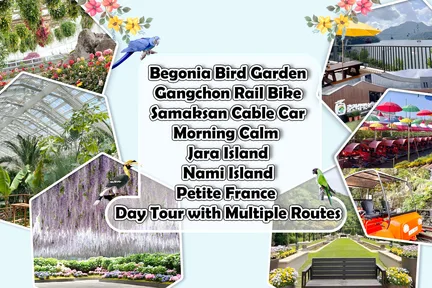 韩国秋海棠园 & 小法国村 & Jara岛樱花之旅