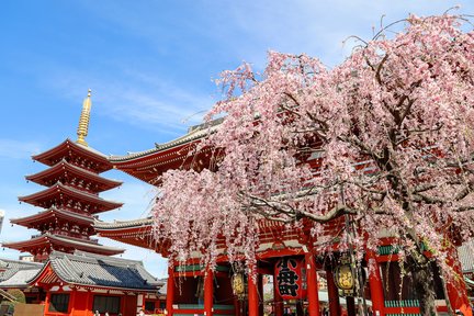 Erstaunliche Sightseeing-Bus-Tagestour durch Tokio