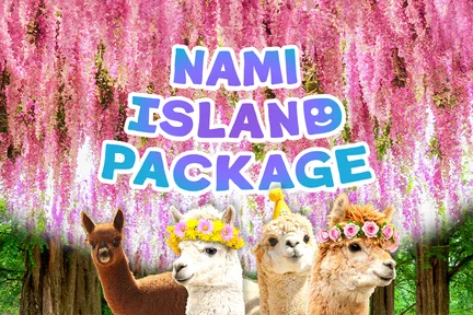 Nami / Alpaca/ Railbike/ Petite France/ Morning Calm/ Begonia Tour
