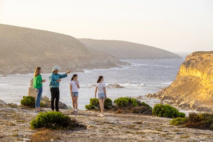 Tour 1 Hari Port Lincoln dan Coffin Bay