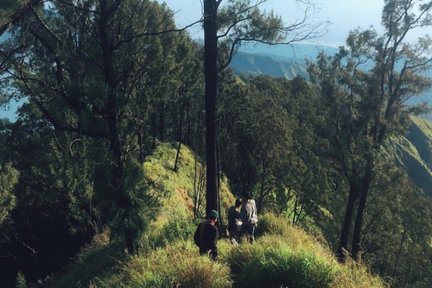 2D1N Mount Abang Hiking Experience in Bali