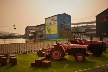 Rice Flower's Farmer 韩国料理教室