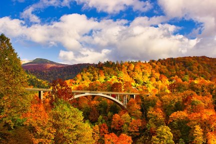 Gorges d'Oirase, visite personnalisable en voiture affrété de Shirakami Sanchi