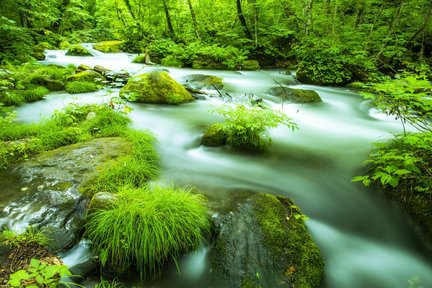 Oirase-Keiryu Gorge & Hakkoda Mountains One Day Tour dari Aomori