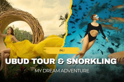 Ubud Highlights Tour & Snorkeling Blue Lagoon ALL-Inclusive