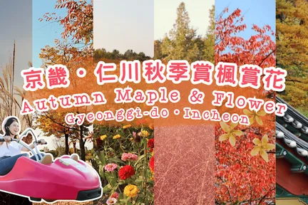 京畿/仁川秋季赏枫赏花一天团 杨州 Nari 公园/仁川梦想公园+斜坡滑车+传灯寺+正西津+马场湖水+Starfield+恩平韩屋村