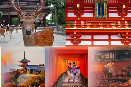 Tur satu hari ke Kuil Kiyomizudera, Kuil Fushimi Inari Taisha, dan Taman Nara (berangkat dari Osaka dan Kyoto dalam rombongan kecil)