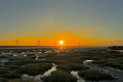 中社観光花市・高美湿地・宮原眼科・春水堂タピオカミルクティー 日帰りツアー（台中 / 西門・台北発）