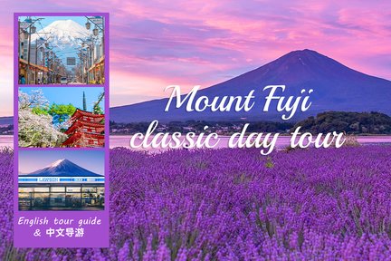 Fuji Six Scenic Spots Popular Check-in and Photo-taking Day Tour｜Asama Park & Hikawa Watch Shop & Oshino Hakkai & Lake Kawaguchi & Lawson Convenience Store & Feeding Swan at Lake Yamanaka (Multiple Languages Available)