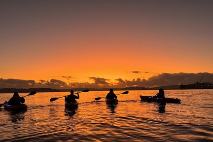 Sunrise Kayak on Sydney Harbour with Breakfast