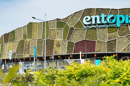 Билет на ферму бабочек Entopia by Penang