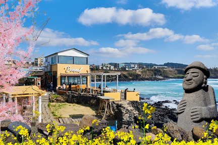 Jeju South & West One Day Authentic Tour