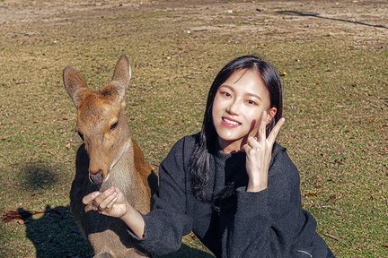 [여행 한 그릇] 일본 오사카 출발 나라 교토 버스 투어