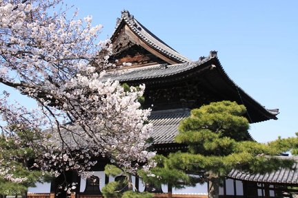 Nishiki Market Half Day Walking Tour with Tea Ceremony Experience