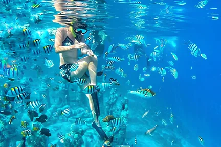 Half-Day Private Guided Snorkeling Tour in Gili Trawangan Lombok
